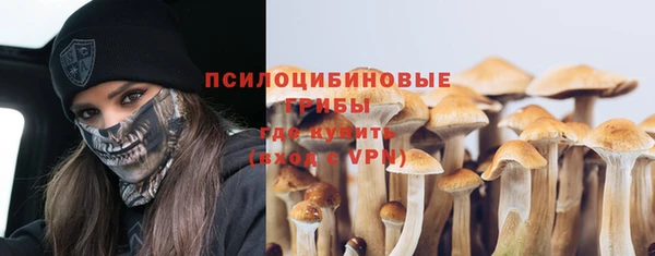 бошки Богородск