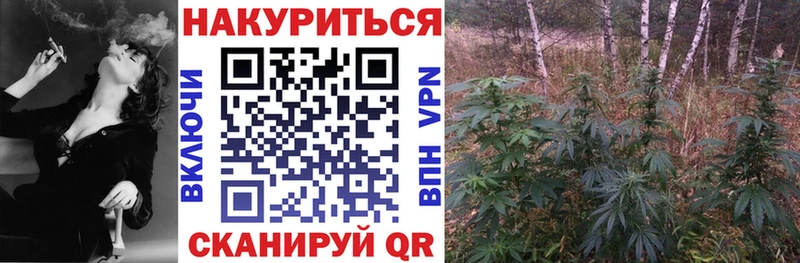 Конопля ГИДРОПОН Надым